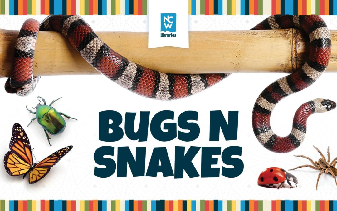 Bugs & Snakes Program Coming to Three Libraries